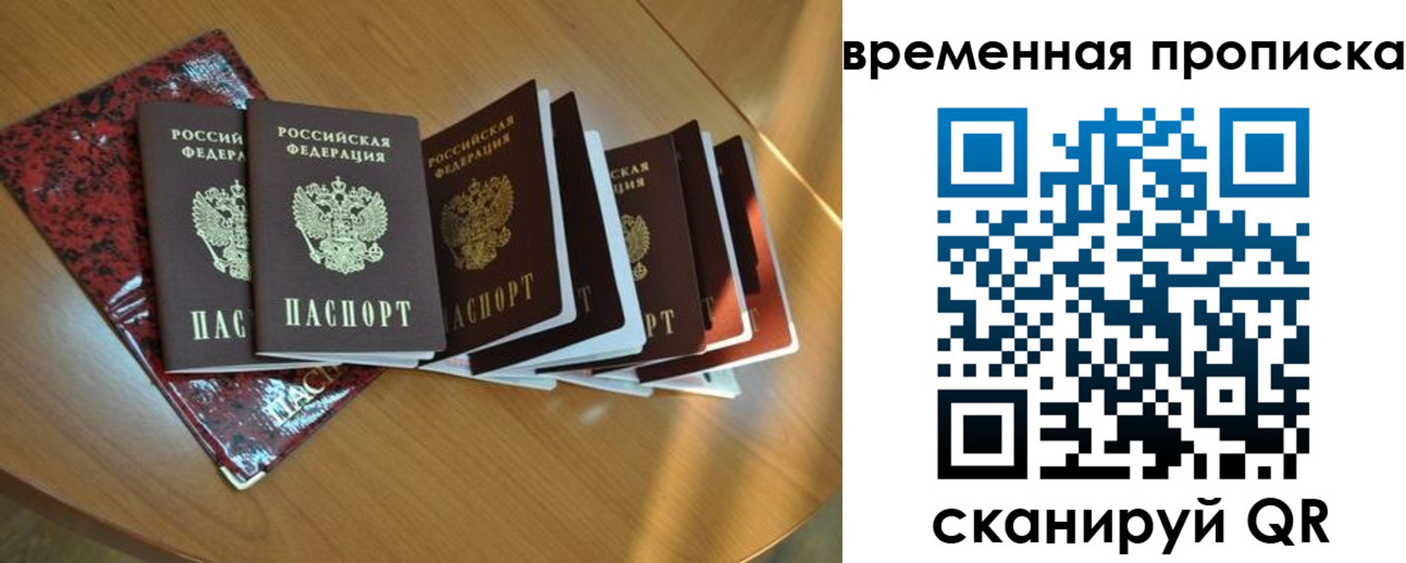 прописка в Ельне